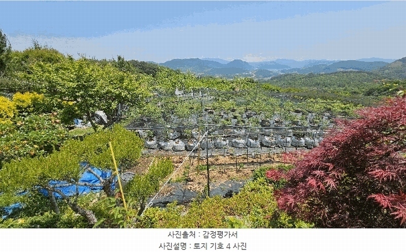 2025타경30813 경상남도 산청군 단성면 방목리 산82-154 임야 경매 이미지