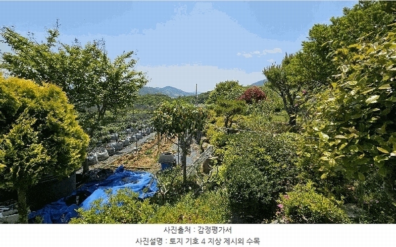 2025타경30813 경상남도 산청군 단성면 방목리 산82-154 임야 경매 이미지
