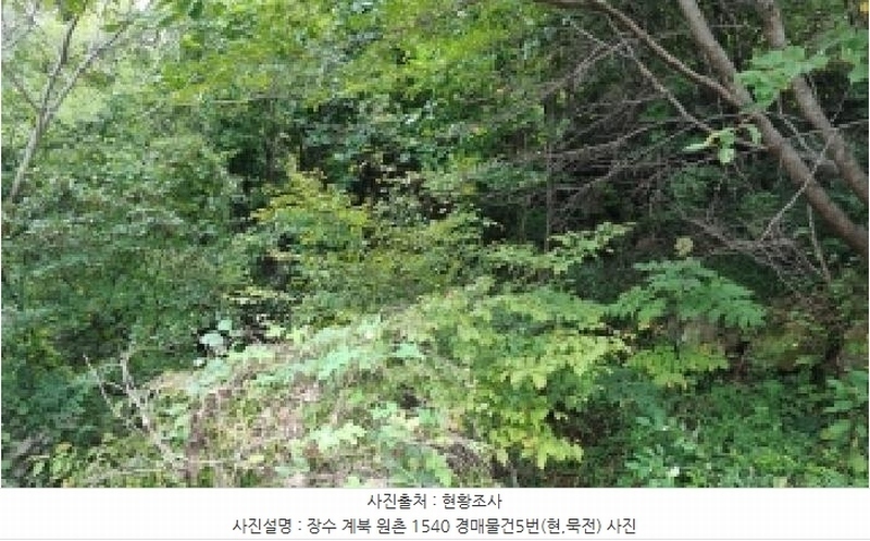 2025타경30242 전북특별자치도 장수군 계북면 원촌리 1540 농지 경매 이미지