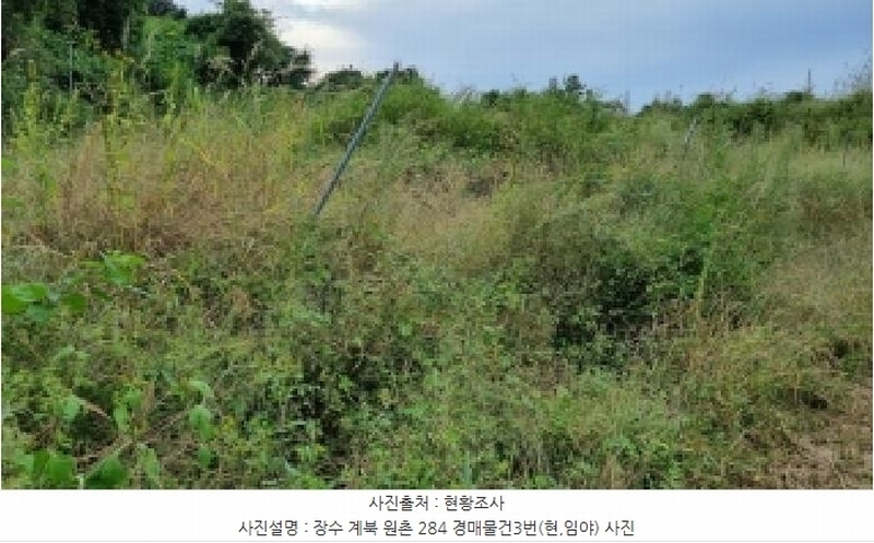 2025타경30242 전북특별자치도 장수군 계북면 원촌리 284 임야 경매 이미지