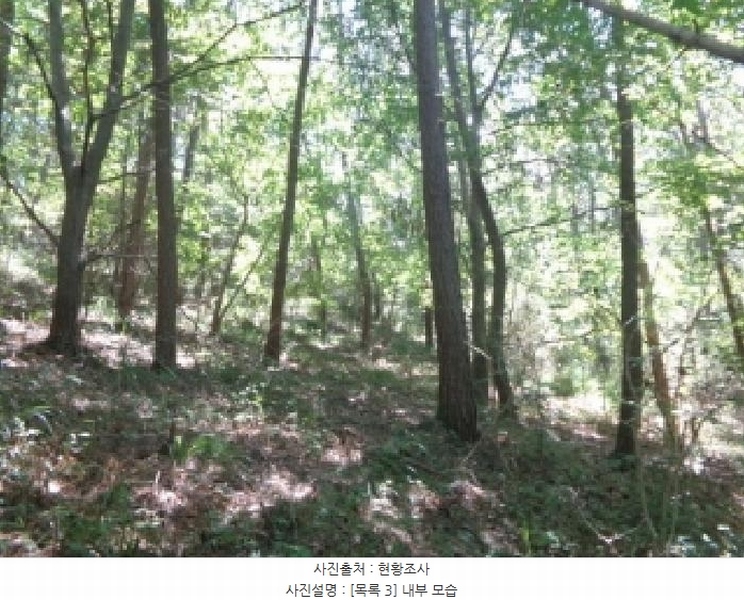 2025타경51650 충청남도 태안군 원북면 황촌리 산77 임야 경매 이미지