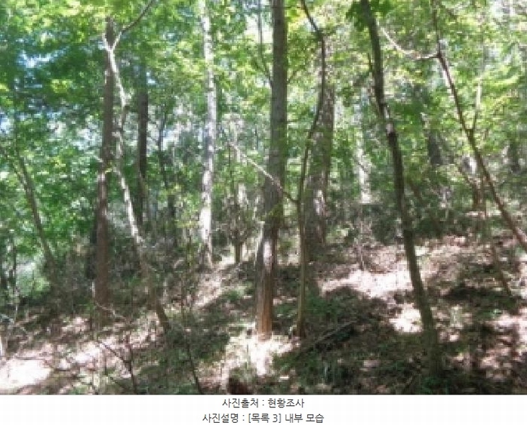 2025타경51650 충청남도 태안군 원북면 황촌리 산77 임야 경매 이미지