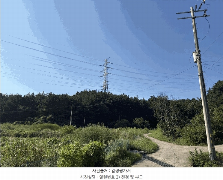 2025타경51650 충청남도 태안군 원북면 황촌리 산77 임야 경매 이미지