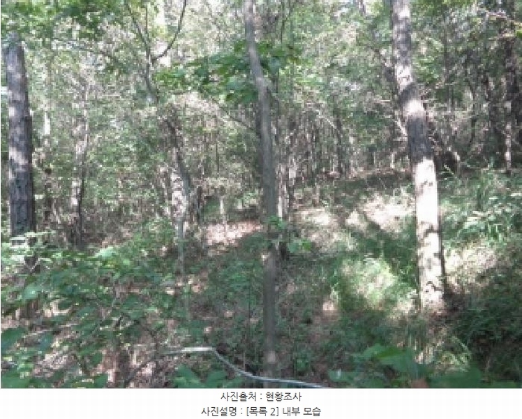 2025타경51650 충청남도 태안군 남면 신온리 산18 임야 경매 이미지