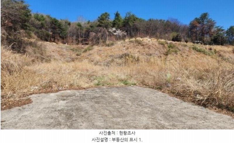 2025타경11437 울산광역시 울주군 두서면 전읍리 315-1 과수원 경매 이미지