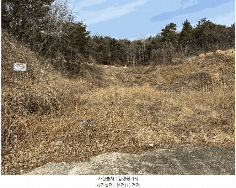 2025타경11437 울산광역시 울주군 두서면 전읍리 315-1 과수원 경매 이미지