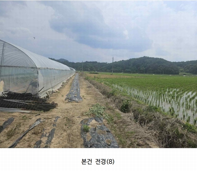 2024타경2091 경상북도 영주시 이산면 신암리 529-12 농지 경매 이미지