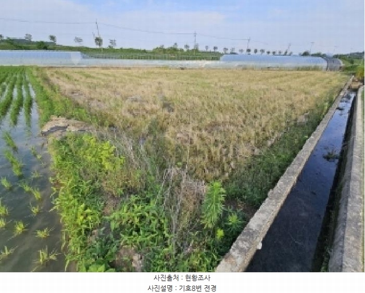 2024타경2091 경상북도 영주시 이산면 신암리 529-12 농지 경매 이미지
