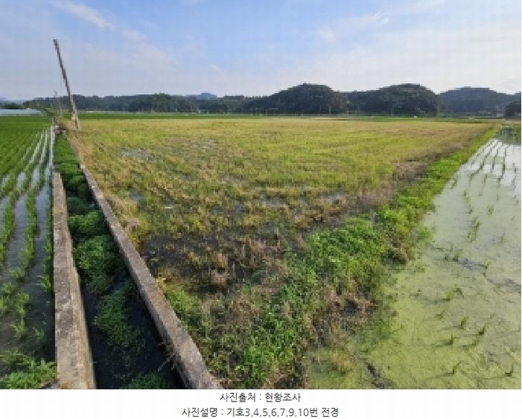 2024타경2091 경상북도 영주시 이산면 신암리 505-6 농지 경매 이미지