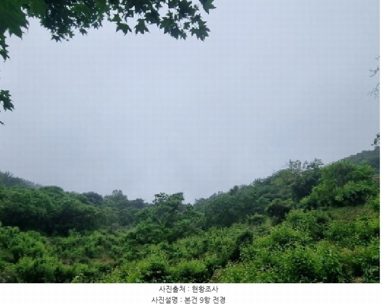 2025타경51387 전라남도 광양시 옥곡면 수평리 산169-9 임야 경매 이미지