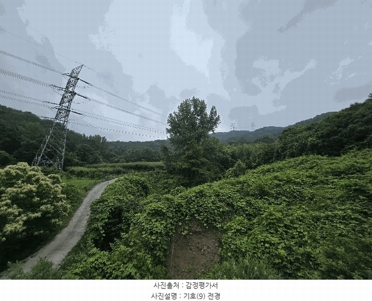 2025타경51387 전라남도 광양시 옥곡면 수평리 산169-9 임야 경매 이미지