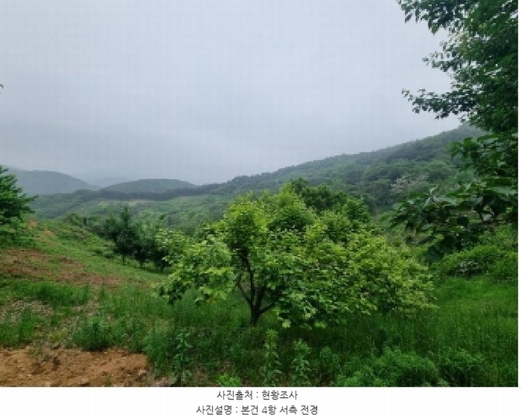 2025타경51387 전라남도 광양시 옥곡면 수평리 산137-4 임야 경매 이미지