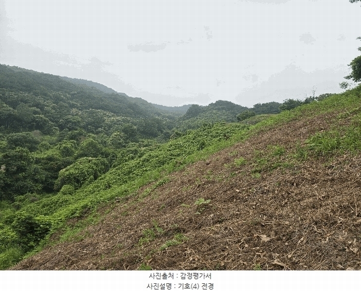 2025타경51387 전라남도 광양시 옥곡면 수평리 산137-4 임야 경매 이미지