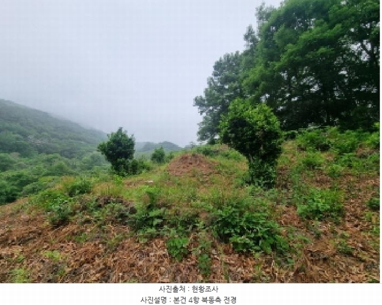 2025타경51387 전라남도 광양시 옥곡면 수평리 산137-4 임야 경매 이미지