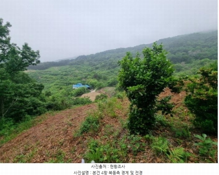 2025타경51387 전라남도 광양시 옥곡면 수평리 산137-4 임야 경매 이미지