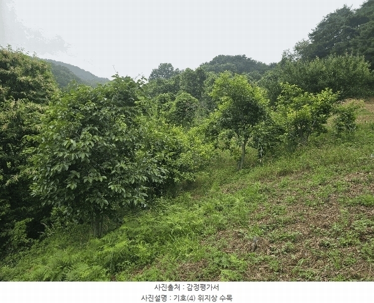 2025타경51387 전라남도 광양시 옥곡면 수평리 산137-4 임야 경매 이미지