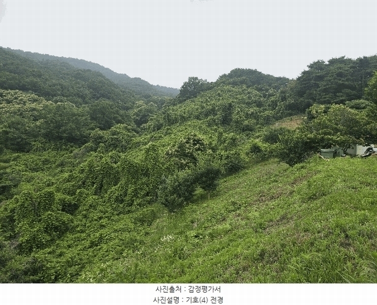 2025타경51387 전라남도 광양시 옥곡면 수평리 산137-4 임야 경매 이미지