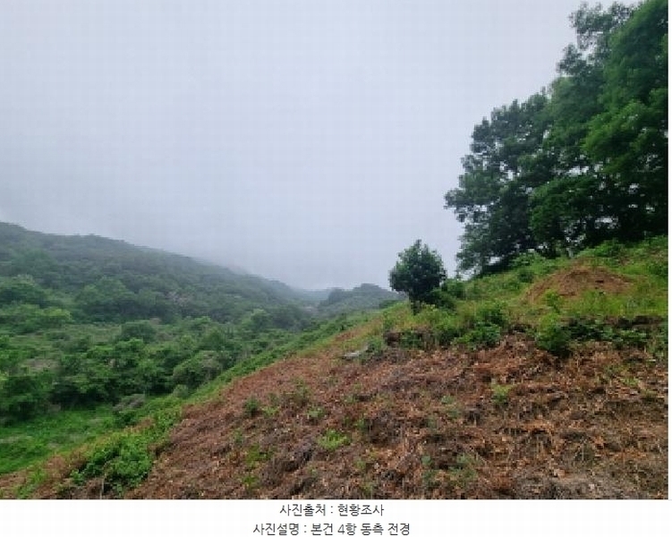 2025타경51387 전라남도 광양시 옥곡면 수평리 산137-4 임야 경매 이미지