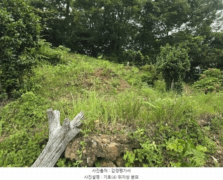 2025타경51387 전라남도 광양시 옥곡면 수평리 산137-4 임야 경매 이미지