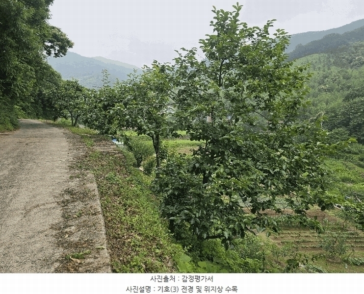 2025타경51387 전라남도 광양시 옥곡면 수평리 산105-1 도로 경매 이미지