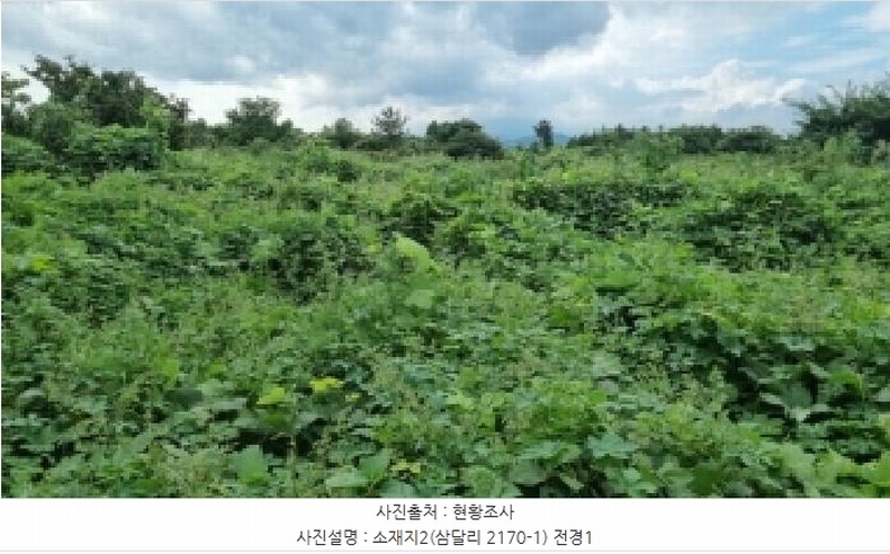 2025타경1616 제주특별자치도 서귀포시 성산읍 삼달리 2170-2 임야 경매 이미지
