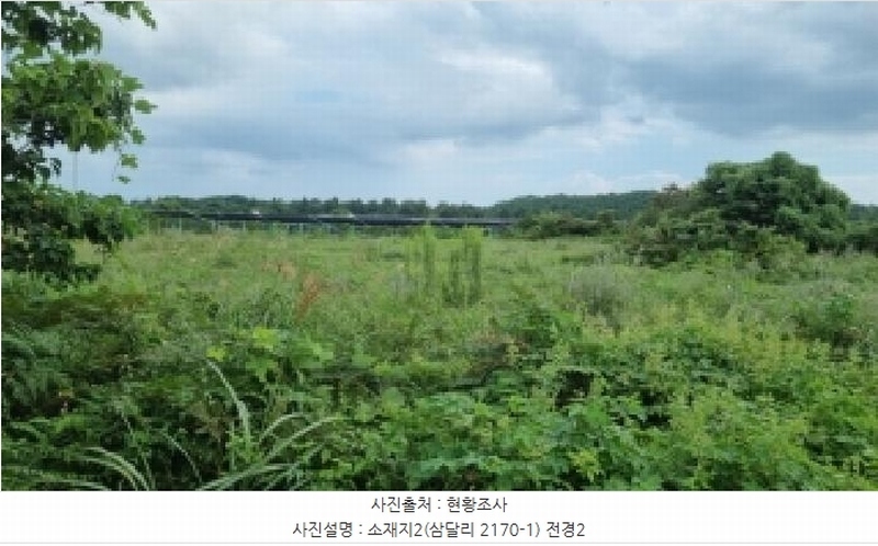 2025타경1616 제주특별자치도 서귀포시 성산읍 삼달리 2170-2 임야 경매 이미지