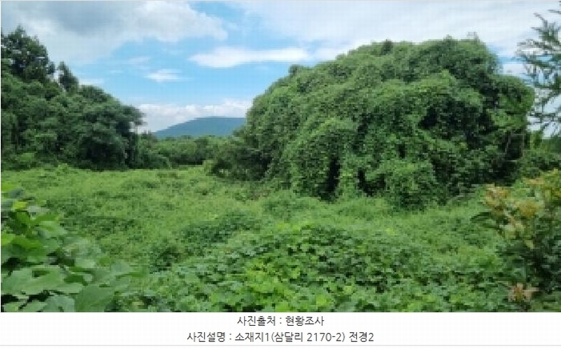 2025타경1616 제주특별자치도 서귀포시 성산읍 삼달리 2170-2 임야 경매 이미지