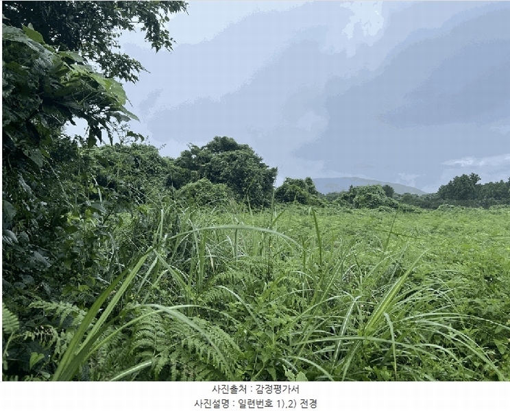 2025타경1616 제주특별자치도 서귀포시 성산읍 삼달리 2170-2 임야 경매 이미지