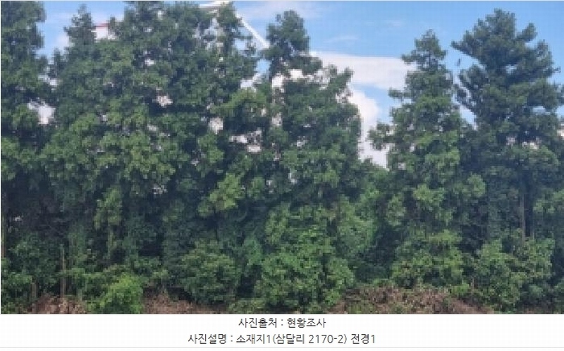 2025타경1616 제주특별자치도 서귀포시 성산읍 삼달리 2170-2 임야 경매 이미지