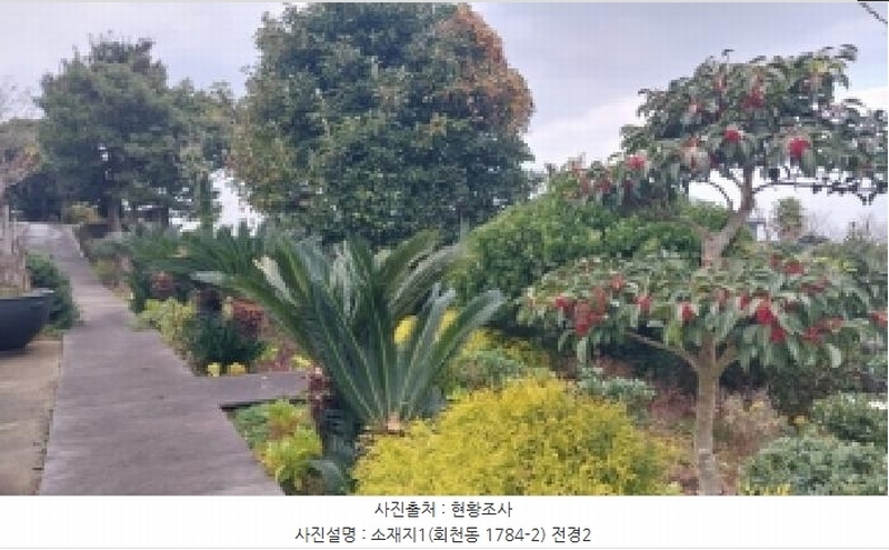 2025타경9155 제주특별자치도 제주시 회천동 1784-2 임야 경매 이미지