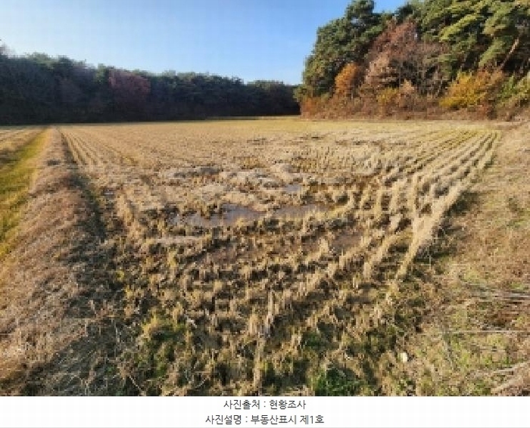2025타경30507 전북특별자치도 부안군 줄포면 우포리 610-2 농지 경매 이미지