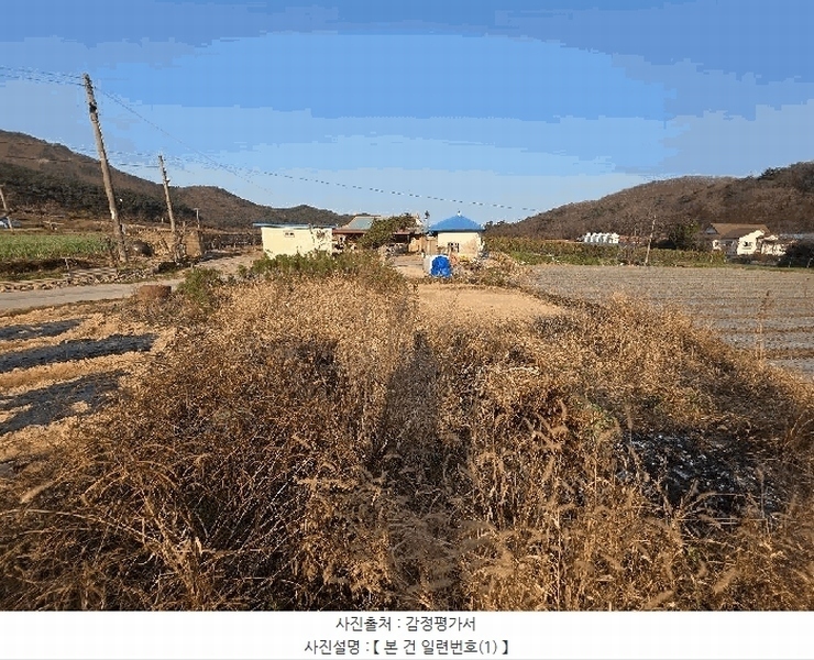 2025타경30524 전북특별자치도 부안군 변산면 운산리 146 농지 경매 이미지