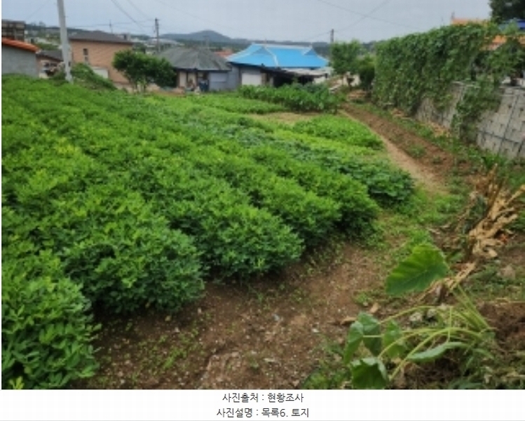 2024타경544037 인천광역시 중구 남북동 575 농지 경매 이미지