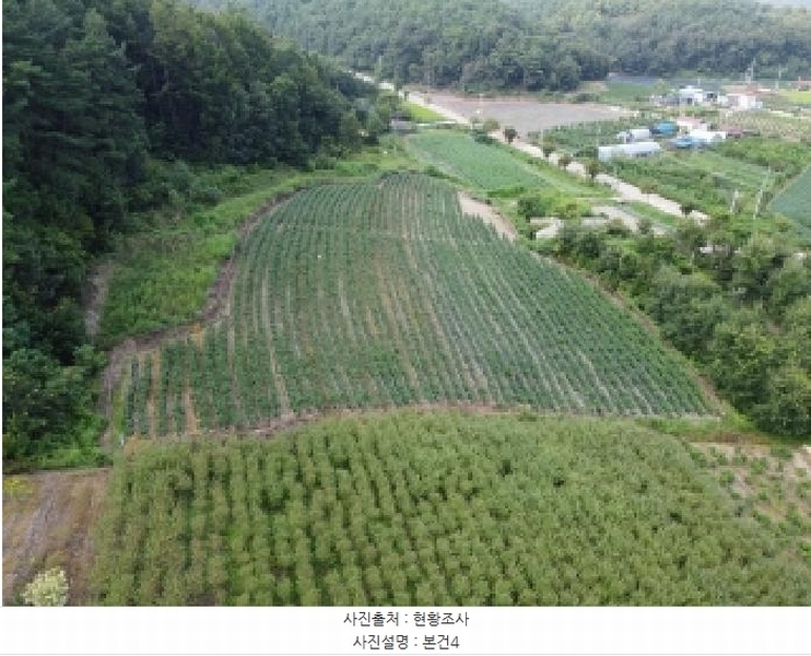 2025타경51637 충청북도 보은군 산외면 산대리 131 농지 경매 이미지