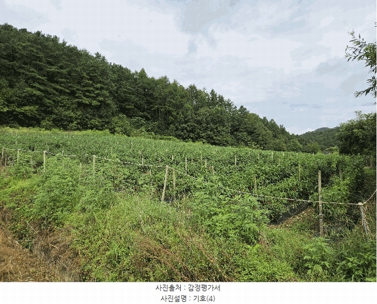 2025타경51637 충청북도 보은군 산외면 산대리 131 농지 경매 이미지