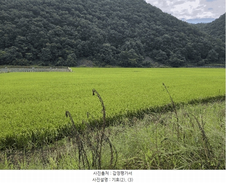 2025타경51637 충청북도 보은군 산외면 오대리 439 농지 경매 이미지