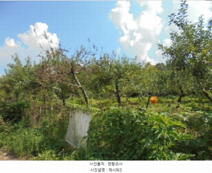 2025타경51527 충청북도 청주시 상당구 가덕면 인차리 215-12 임야 경매 이미지
