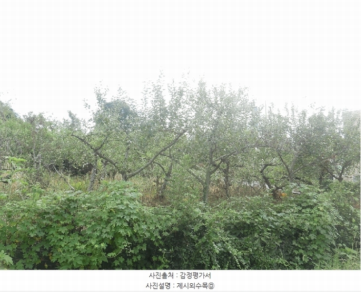 2025타경51527 충청북도 청주시 상당구 가덕면 인차리 215-12 임야 경매 이미지