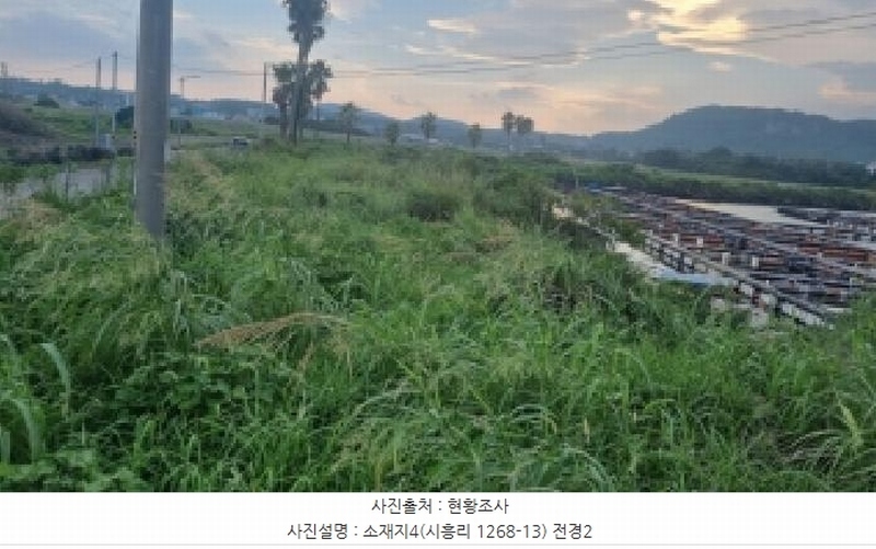 2025타경1418 제주특별자치도 서귀포시 성산읍 시흥리 1268-13 농지 경매 이미지