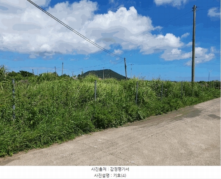 2025타경1418 제주특별자치도 서귀포시 성산읍 시흥리 1268-13 농지 경매 이미지