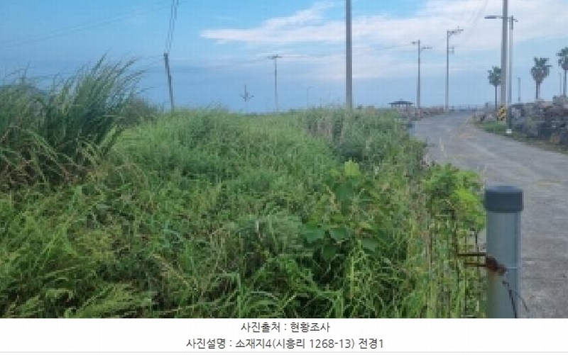 2025타경1418 제주특별자치도 서귀포시 성산읍 시흥리 1268-13 농지 경매 이미지