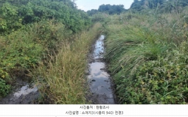 2025타경1418 제주특별자치도 서귀포시 성산읍 시흥리 940 잡종지 경매 이미지
