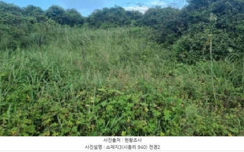 2025타경1418 제주특별자치도 서귀포시 성산읍 시흥리 940 잡종지 경매 이미지