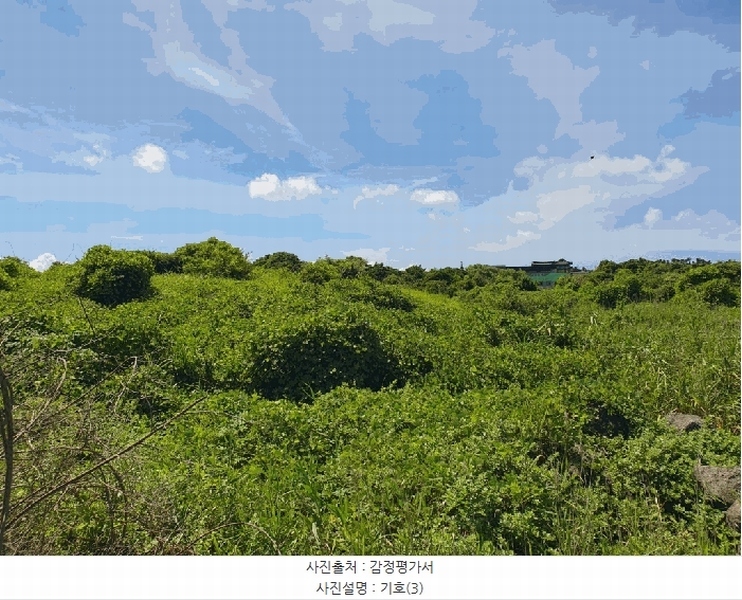 2025타경1418 제주특별자치도 서귀포시 성산읍 시흥리 940 잡종지 경매 이미지