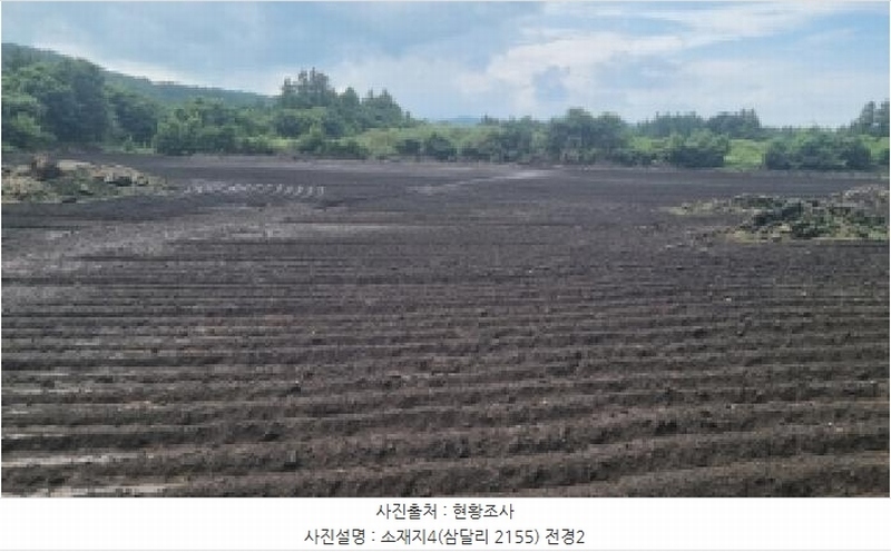 2025타경1616 제주특별자치도 서귀포시 성산읍 삼달리 2155 임야 경매 이미지