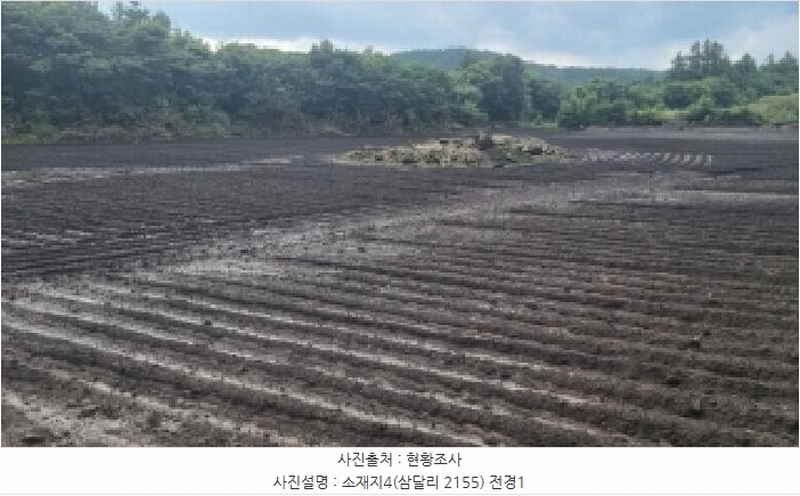 2025타경1616 제주특별자치도 서귀포시 성산읍 삼달리 2155 임야 경매 이미지