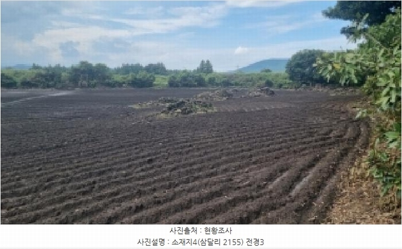 2025타경1616 제주특별자치도 서귀포시 성산읍 삼달리 2155 임야 경매 이미지