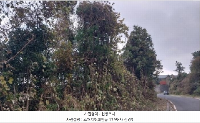 2025타경9155 제주특별자치도 제주시 회천동 1795-5 농지 경매 이미지