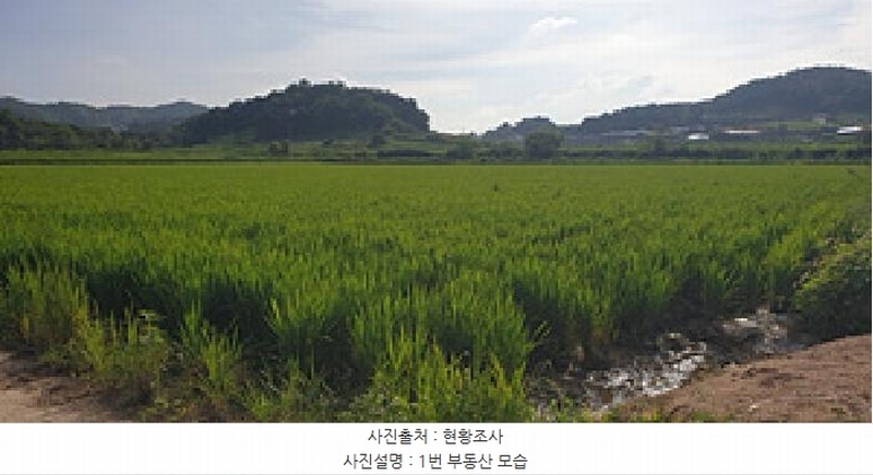 2025타경1125 충청남도 예산군 응봉면 계정리 55-1 농지 경매 이미지