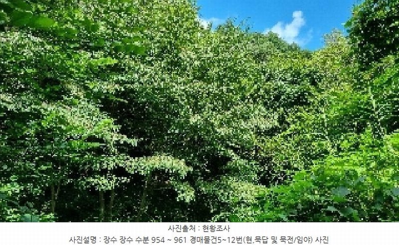 2025타경1165 전북특별자치도 장수군 장수읍 수분리 957 농지 경매 이미지
